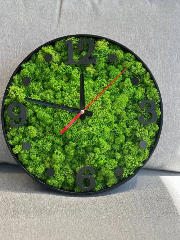 Decor Wall Clock - Moss Clock with Lichen Moss