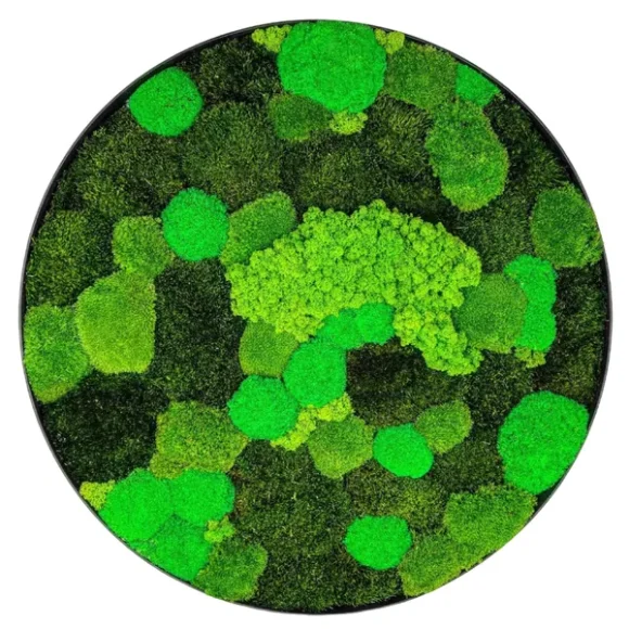 Moss Art - Circle Moss Painting with mix Moss