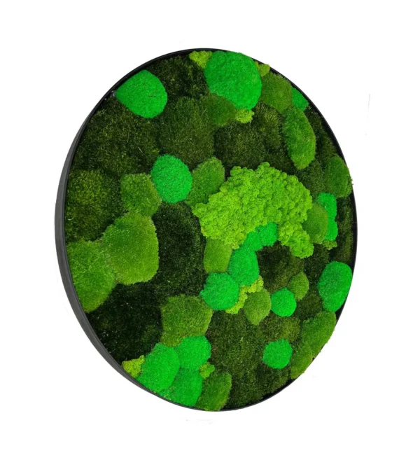 Moss Art - Circle Moss Painting with mix Moss