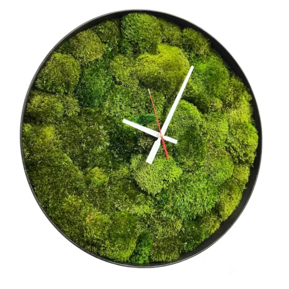 Round Moss Wall Clock with Mood Moss