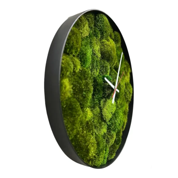 Round Moss Wall Clock with Mood Moss