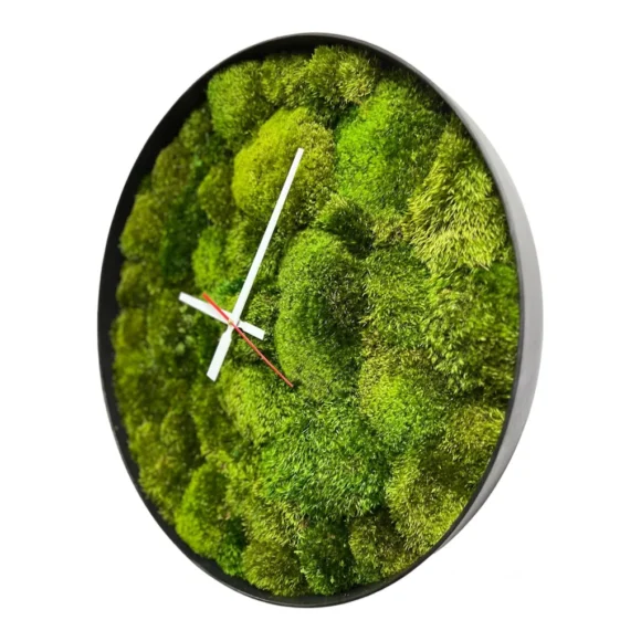 Round Moss Wall Clock with Mood Moss