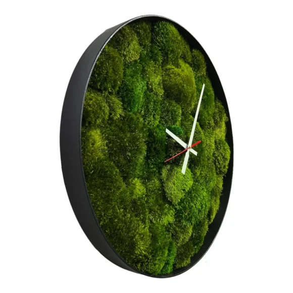 Round Moss Wall Clock with Mood Moss